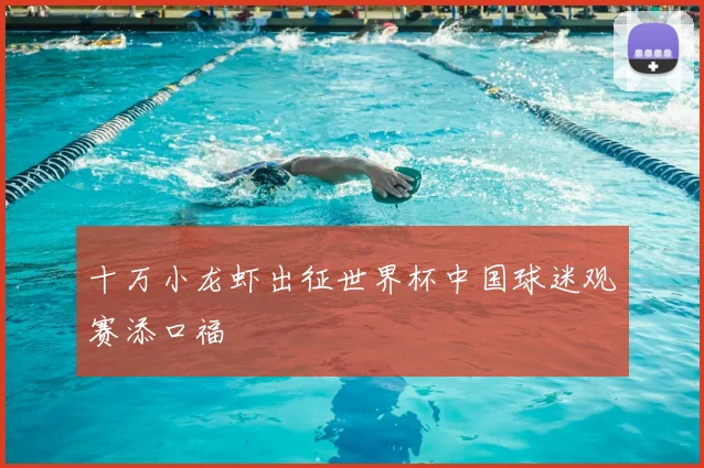 十万小龙虾出征世界杯中国球迷观赛添口福
