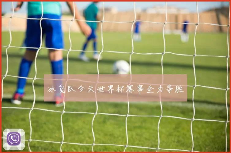冰岛队今天世界杯赛事全力争胜