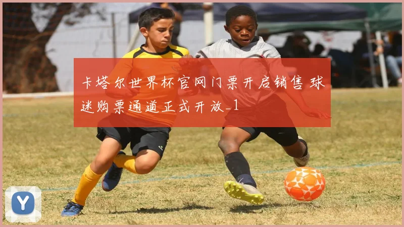 卡塔尔世界杯官网门票开启销售 球迷购票通道正式开放_1