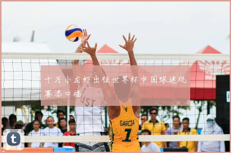 十万小龙虾出征世界杯中国球迷观赛添口福