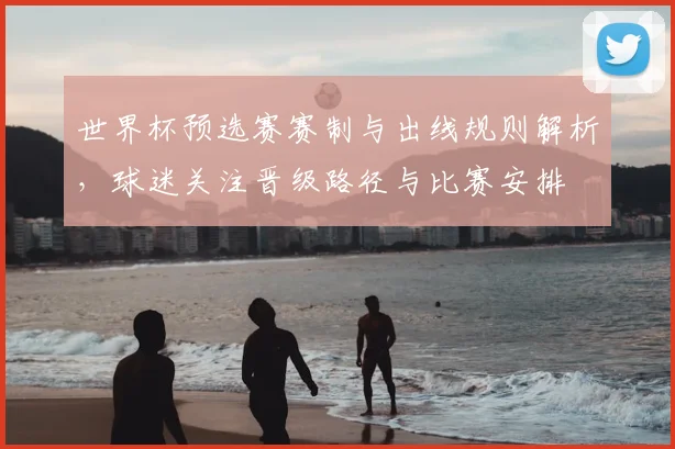 世界杯预选赛赛制与出线规则解析，球迷关注晋级路径与比赛安排