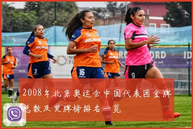 2008年北京奥运会中国代表团金牌总数及奖牌榜排名一览