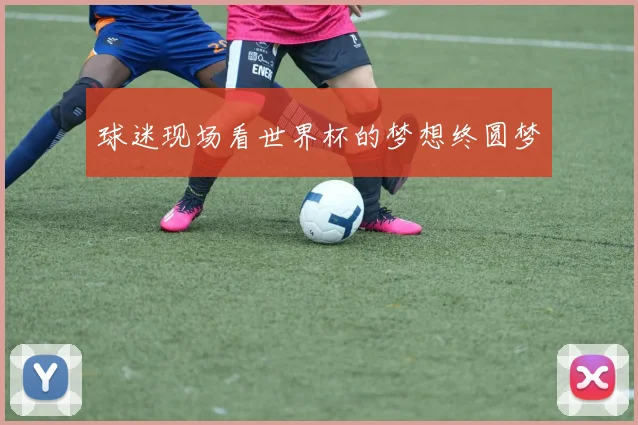 球迷现场看世界杯的梦想终圆梦